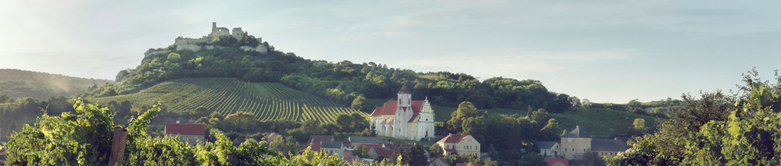     Vinohrady Falkenstein, Dolné Rakúsko 